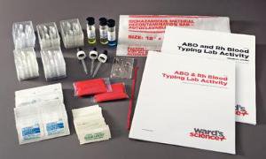 Student Lab Activity ABO / Rh Blood Typing