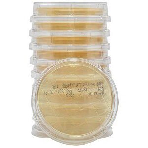 Prepared Media Lok-Tight Tryptic Soy Agar (TSA) with Lecithin and Tween 80 Contact Plate