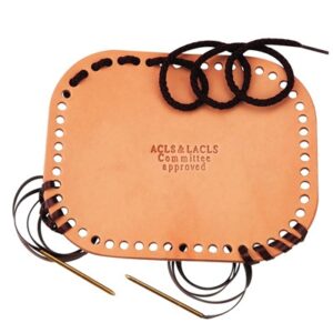 Allen Cognitive Level Screen Cognitive Level Tool