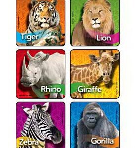 Kids Love Stickers 90 per Box Zoo Animal Photos , Assorted Sticker 2-1/2 Inch