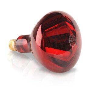 Heat Lamp Replacement Bulb Sylvania Incandescent 250 Watt
