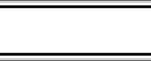 Pre-Printed Label Pro-File Auxiliary Label White Paper Room no. Patient_Doctor_ Black Patient Information 1/3/8 X 5-3/8 Inch