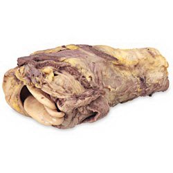 Preserved Pig Larynx With Epiglottis, Vocal Cords, Portion of Trachea