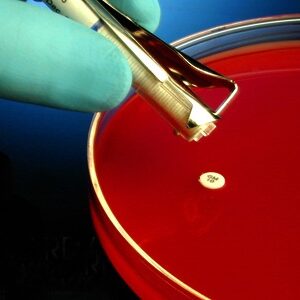 Antimicrobial Susceptibility Testing Disc HardyDisks Cephalothin 30 ?g
