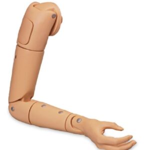 Arm Model Life/form Replacement Arm / Right