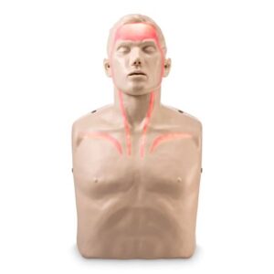 CPR Mannequin Brayden Brayden Adult 14 lbs.