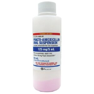 Clinical Training Medication Practi-Amoxicillin Oral Suspension Reconstiuted Powder Bottle 80 mL