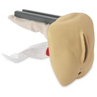 Replacement Female Genitalia Life/Form GERi/KERi Complete, Advanced, and Auscultation