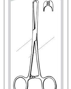 Tissue Forceps Econo Sterile Allis 7-1/4 Inch Length Floor / Office Grade Pakistani Stainless Steel Sterile Locking Finger Ring Handle Straight 6 X 7 Teeth