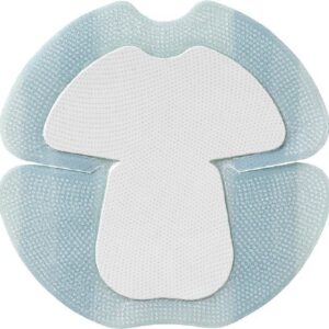 Foam Dressing Biatain Silicone 7 X 7 Inch With Border Film Backing Silicone Adhesive Heel Sterile