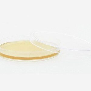 Prepared Media Tryptic Soy Agar (TSA) with Lecithin and Tween Deep Fill Plate Format