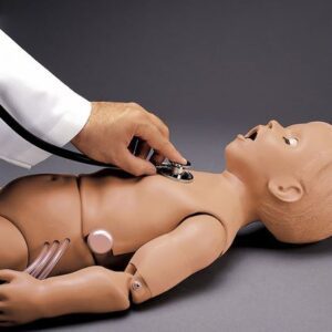 Torso Mannequin Gaumard Heart and Lung Torso Gender Neutral Child, 5-Year Old 37 lbs.