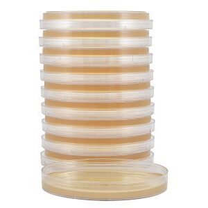 Prepared Media Tryptic Soy Agar (TSA) with Lecithin and Tween 80 Mono-Plate Format