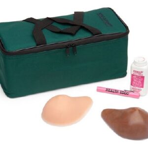 Breast Examination Model Standard BSE TrueForm Models Beige Skin Tone Female Adult