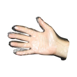 Food Service Glove Prime Source Large Smooth Clear Polyethylene