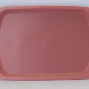 Food Service Tray 6 X 9 Inch Gold Plastic