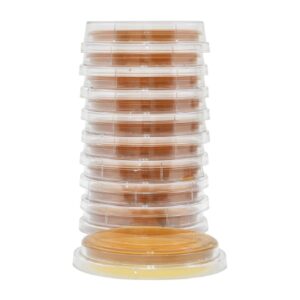 Prepared Media Malt Extract Agar with Lecithin and Tween Mono-Plate Format