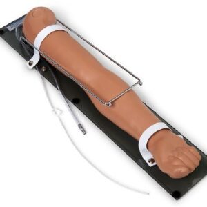 Arm Model Guarmard Advanced Multipurpose Venous Training Right Arm – Medium Skin Tone Gender Neutral Adult