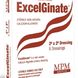 Alginate Dressing ExcelGinate 2 X 2 Inch Square