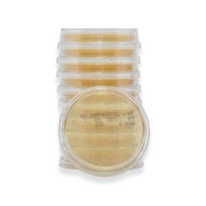 Prepared Media Lok-Tight Tryptic Soy Agar (TSA) with Lecithin and Tween 80 Beige Contact Plate