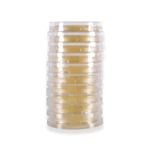 Prepared Media Tryptic Soy Agar (TSA) with Lecithin and Tween 80 Light Amber Contact Plate Format