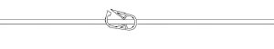 Fluid Transfer Set