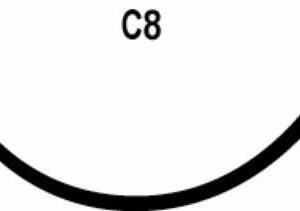 Nonabsorbable Suture with Needle LOOK Nylon C-8 3/8 Circle Reverse Cutting Needle Size 2-0 Monofilament