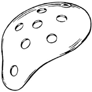 Eye Protector Sklar Fox 2-7/8 X 2-1/3 Inch Tape