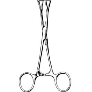Lung Forceps Sklar Duval 8 Inch Length OR / Surgical Grade German Stainless Steel NonSterile Locking Finger Ring Handle Straight Serrated Triangular Ring Tips