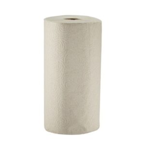 Kitchen Paper Towel Pacific Blue Basic Perforated Roll 8-4/5 X 11 Inch
