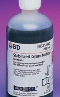 Gram Iodine Stain BD BBL 4 X 250 mL