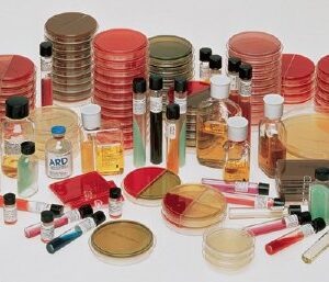 Prepared Media BD BBL Mycoflask Saline, Normal Pour Tube Format