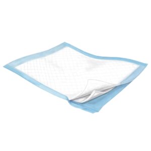 Disposable Underpad Wings Plus 23 X 36 Inch Fluff / Polymer Heavy Absorbency