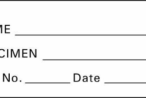 Pre-Printed Label Timemed Auxiliary Label White Tape Name_Specimen_Rm No_ Date Black Patient Information 1 X 2-1/4 Inch