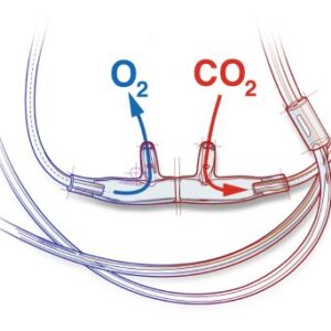 ETCO2 Nasal Sampling Cannula with O2 Delivery Salter-Style Adult Curved Prong / NonFlared Tip 7 Foot O2 / 7 Foot CO2 Line