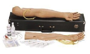 IV Training Arm Male Adult