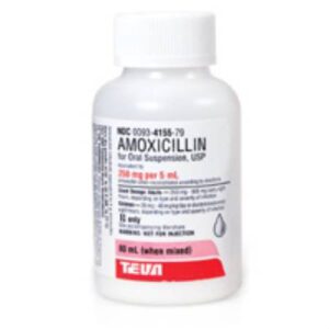 Amoxicillin 250 mg / 5 mL Oral Suspension 80 mL