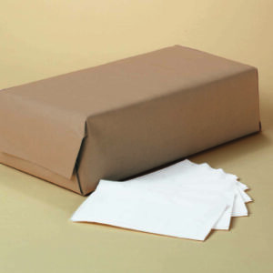 Dinner Napkin Scott White Paper