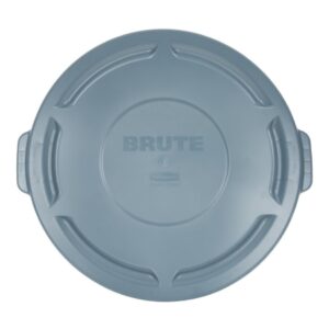 Trash Can Lid Rubbermaid Strong, Snap-On Lid for Secure, Stable Stacking, Gray