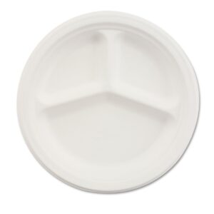 Plate Chinet White Single Use Paper 10-1/4 Inch Diameter