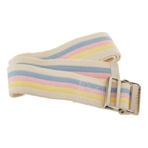 Gait Belt Sammons Preston 60 Inch Length Pinstripe Cotton