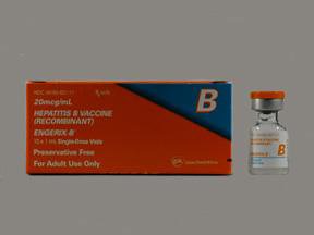 ENGERIX-B Adult Hepatitis B Virus Vaccine, Preservative Free 20 mcg / mL Injection 1 mL