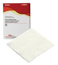 Silver Alginate Dressing Restore 2 X 2 Inch Square Sterile