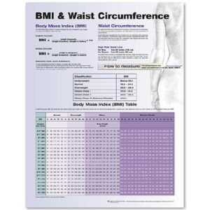 Anatomical Chart BMI and Waist Circumference Chart 20 X 26 Inch Plastic Wall Mount Laminated