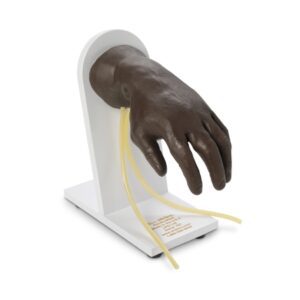 IV Training Hand Life/form 6.5 lbs.