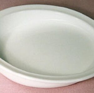 Scoop Plate Parsons White Reusable 9 Inch Diameter