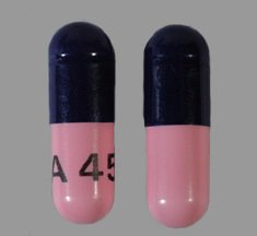 Amoxicillin 500 mg Capsule 500 Capsules
