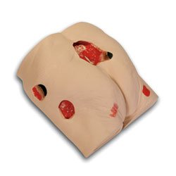 Wound Care Model Seymour II