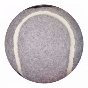 Briggs Tennis Ball Glide For Walker