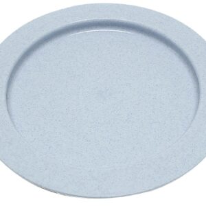 Plate Inner Lip Blue Reusable Plastic 9 Inch Diameter